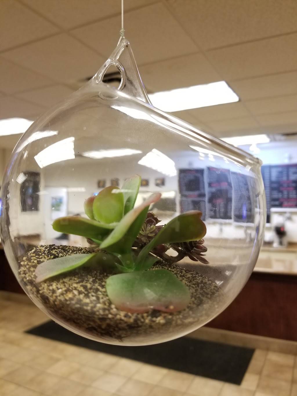 Bushido Japanese Express | restaurant | 145 River Pl Ave, Bowling Green, KY 42101, USA | 2709047740 OR +1 270-904-7740