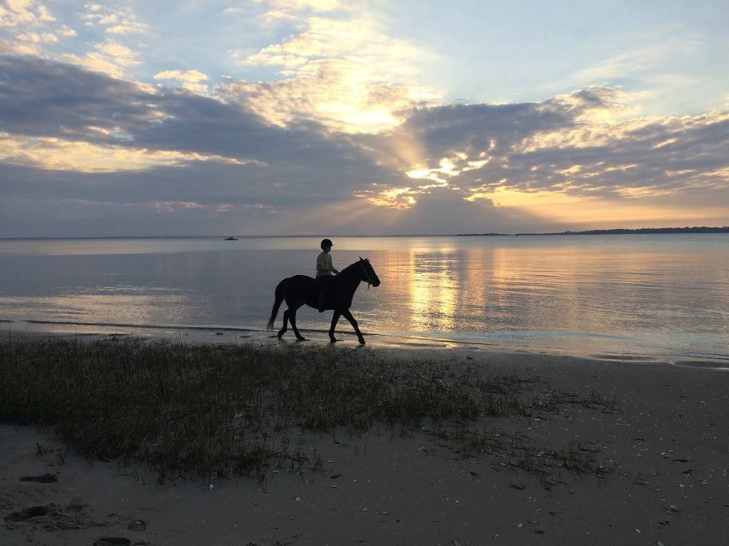 Marsh Tacky Market Café | meal takeaway | 2137 Sea Island Pkwy, St Helena Island, SC 29920, USA | 8438382041 OR +1 843-838-2041