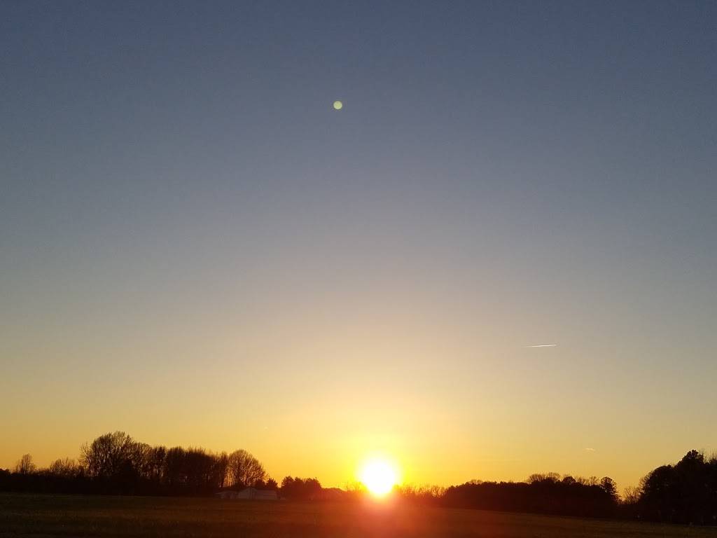 Lucky Jojo | restaurant | 20207 McKenney Hwy, Stony Creek, VA 23882, USA | 8044784044 OR +1 804-478-4044