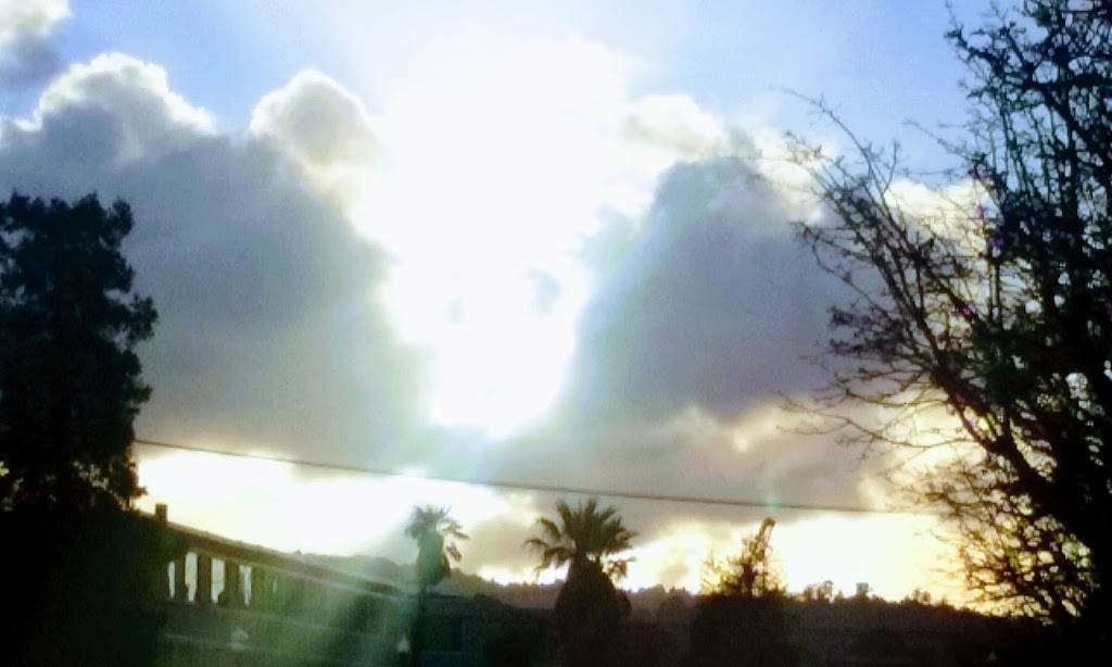 Cariblue Restaurant | restaurant | 1660 Broadway, Redwood City, CA 94063, USA | 6503151262 OR +1 650-315-1262