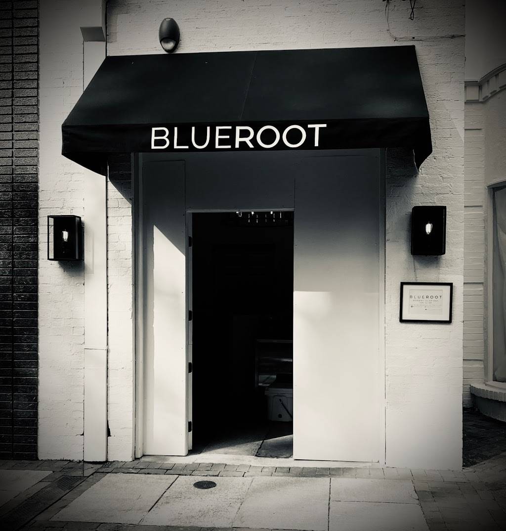 BLUEROOT | restaurant | 2822A Petticoat Ln, Mountain Brook, AL 35223, USA | 2052249000 OR +1 205-224-9000