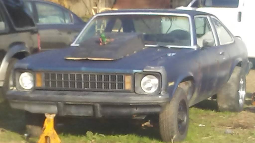 Subway Restaurants | restaurant | 4368 University Blvd S, Jacksonville, FL 32216, USA | 9047334753 OR +1 904-733-4753