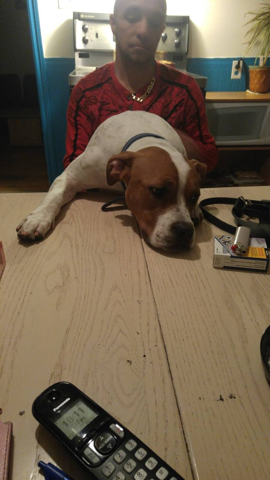 Restaurant La Belle Province | restaurant | 2690 Rue Dessaulles, Saint-Hyacinthe, QC J2S 2V5, Canada | 4502610120 OR +1 450-261-0120