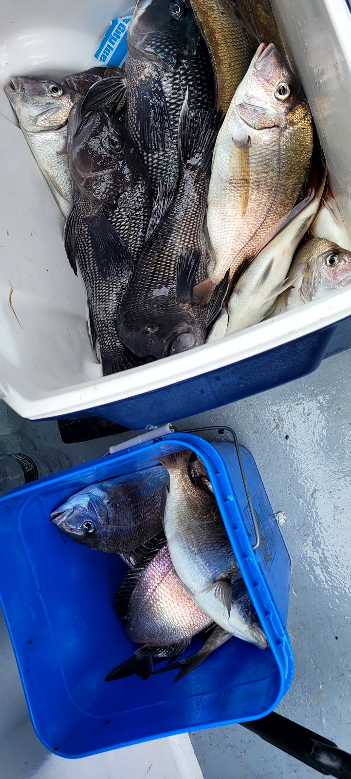 Kims Seafood | meal takeaway | 1336 Windrim Ave, Philadelphia, PA 19141, USA | 2153244828 OR +1 215-324-4828