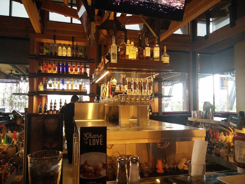 Lazy Dog Restaurant & Bar | restaurant | 8800 Apollo Way, Downey, CA 90242, USA | 5623544910 OR +1 562-354-4910