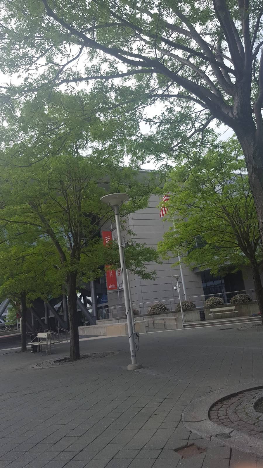 Chung Wah | restaurant | 460 Broadway, Chelsea, MA 02150, USA | 6178848286 OR +1 617-884-8286