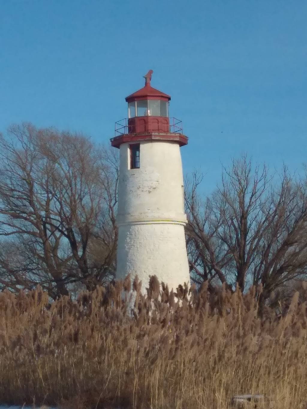 Moyers At The Thames Marina & Restaurant | restaurant | 19150 Harbour Dr RR5, Tilbury, ON N0P 2L0, Canada | 5196829389 OR +1 519-682-9389