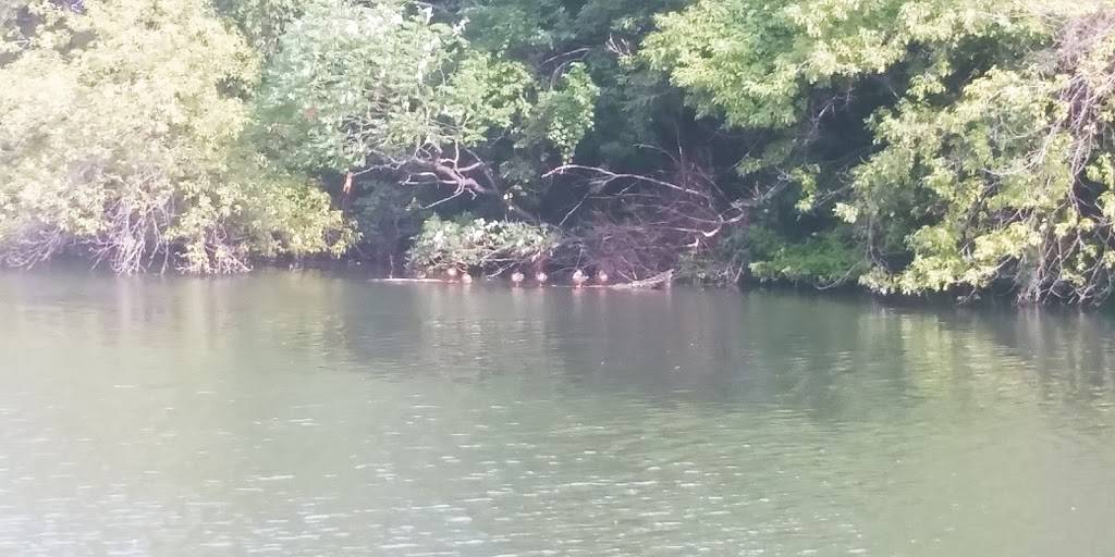 Octopus Beer Garden | restaurant | 152 N River Rd, Mt Clemens, MI 48043, USA | 5862211531 OR +1 586-221-1531