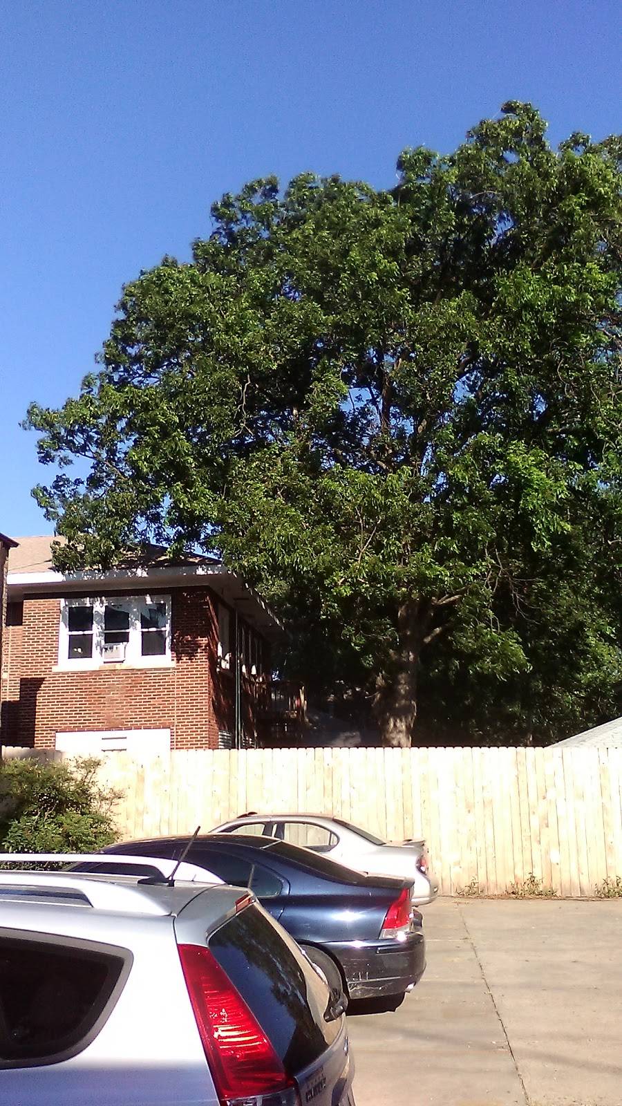 China One | restaurant | 1008, 301 S MacArthur Blvd, Oklahoma City, OK 73127, USA | 4057875557 OR +1 405-787-5557