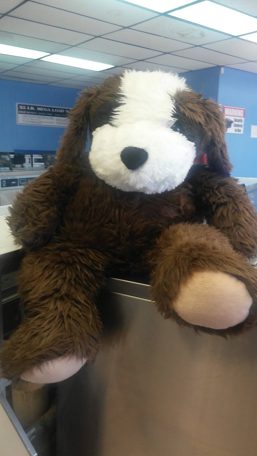 Cape Lounge | restaurant | 5130 Brandt Pike, Dayton, OH 45424, USA | 9372330911 OR +1 937-233-0911