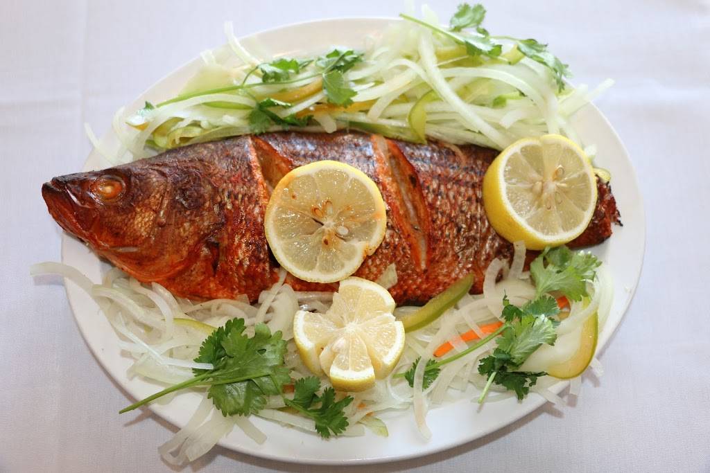 Red Chillies Indian Cuisine | restaurant | 1341 University Blvd E, Takoma Park, MD 20912, USA | 3014349200 OR +1 301-434-9200