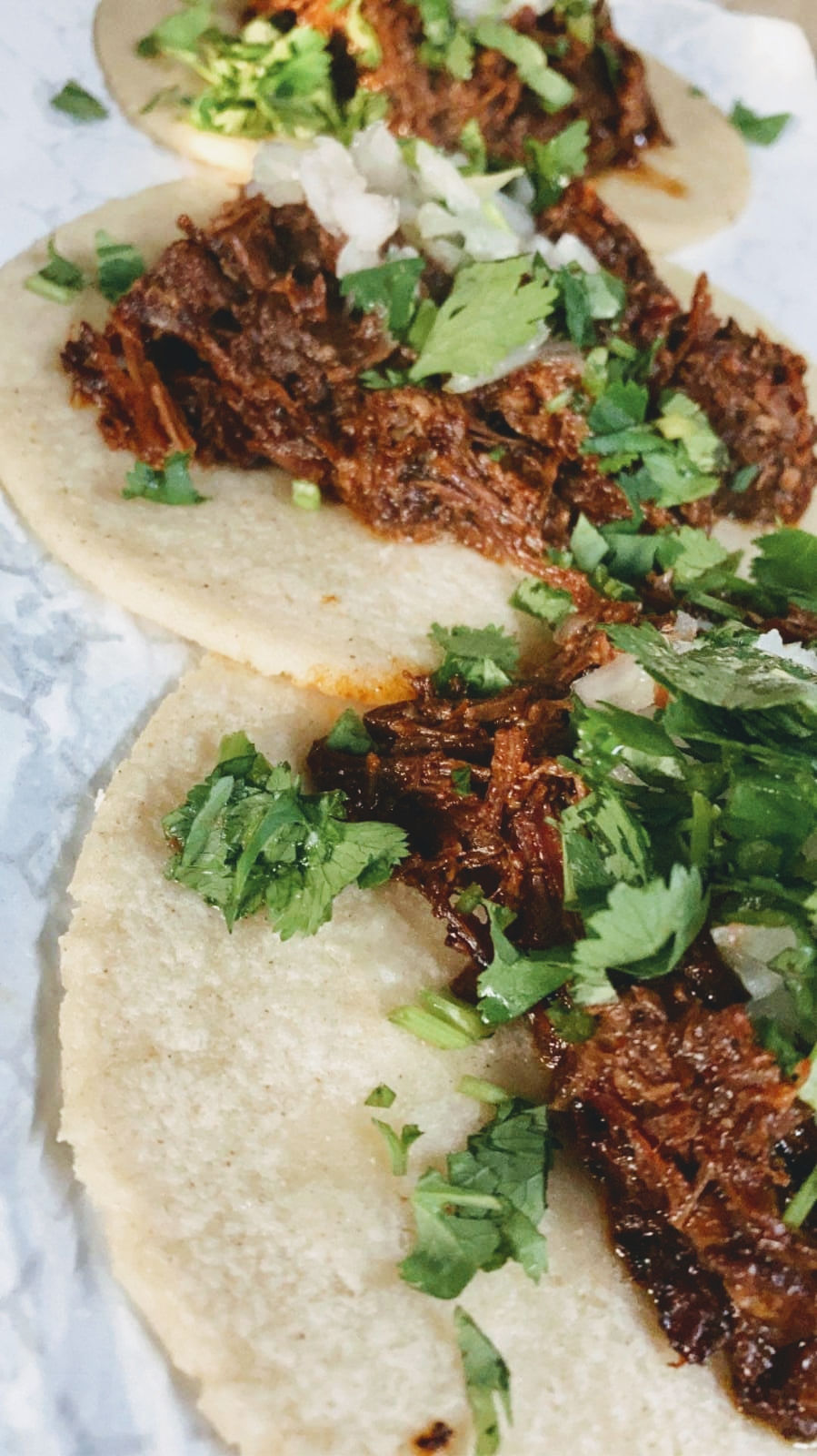 El taquito leon 3 | restaurant | 2415 York Rd, Timonium, MD 21093, USA | 4105017576 OR +1 410-501-7576