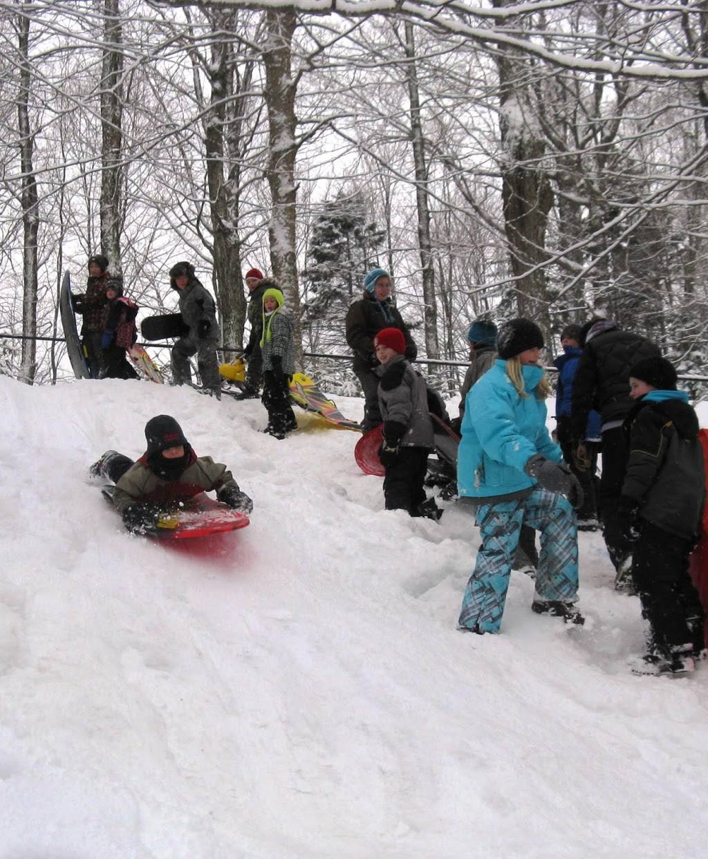 Érablière Au Tournant des Saisons | restaurant | 454 10e Rang E, Bonsecours, QC J0E 1H0, Canada | 4505325388 OR +1 450-532-5388