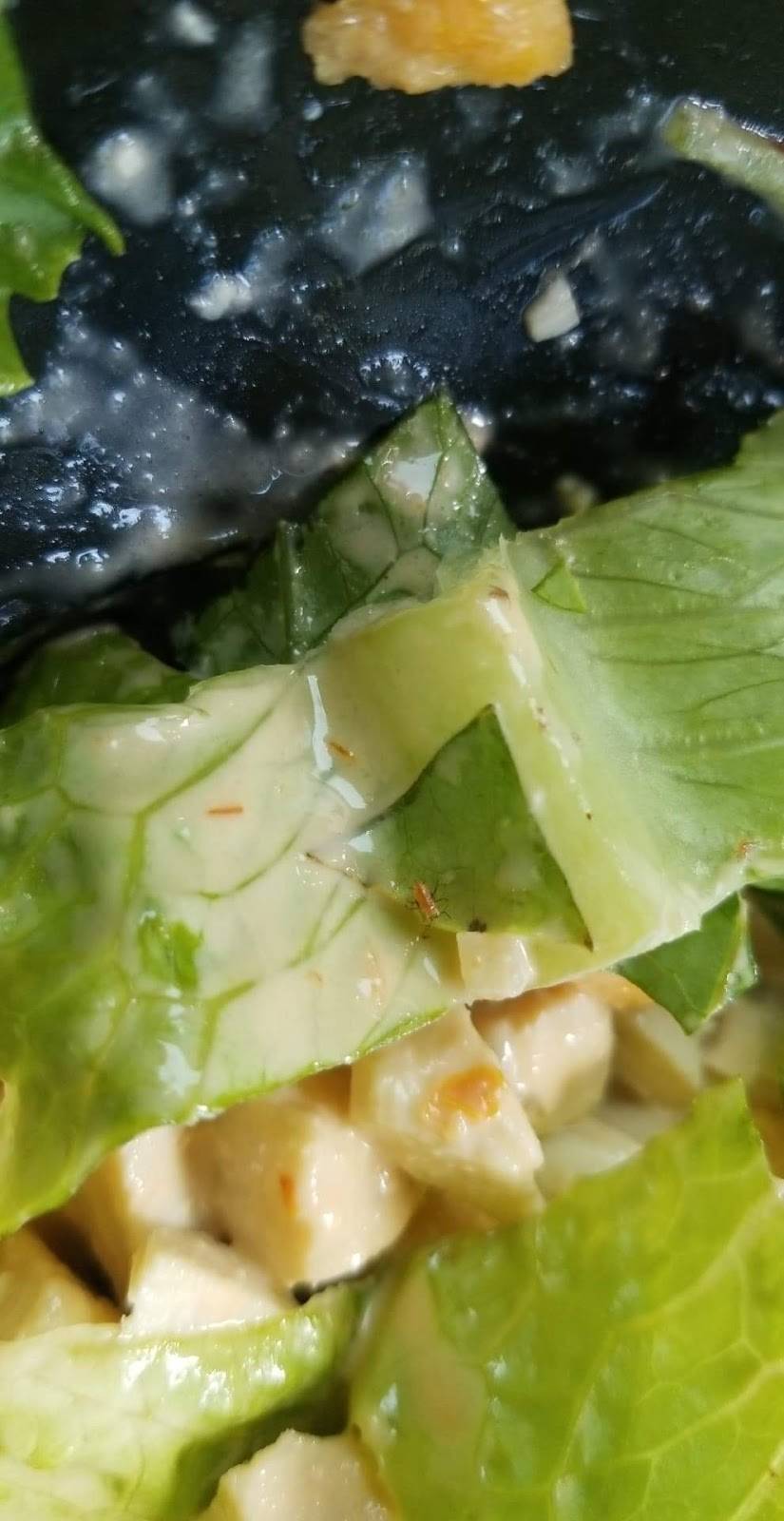 Sonnys Pizza Inc | restaurant | 146 Main St, Fairfield, ME 04937, USA | 2074537624 OR +1 207-453-7624