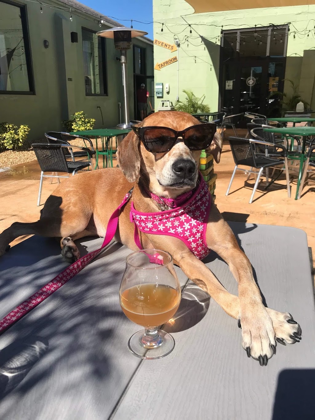 PAW Beer Garden | restaurant | 1942 1st Ave S, St. Petersburg, FL 33712, USA | 7272350970 OR +1 727-235-0970