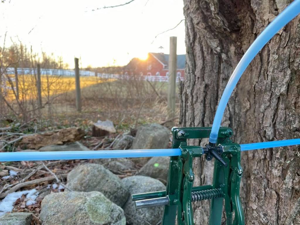 Hartland Hollow Modern Homestead | restaurant | 54 Walnut Hill Rd, East Hartland, CT 06027, USA | 8604139189 OR +1 860-413-9189