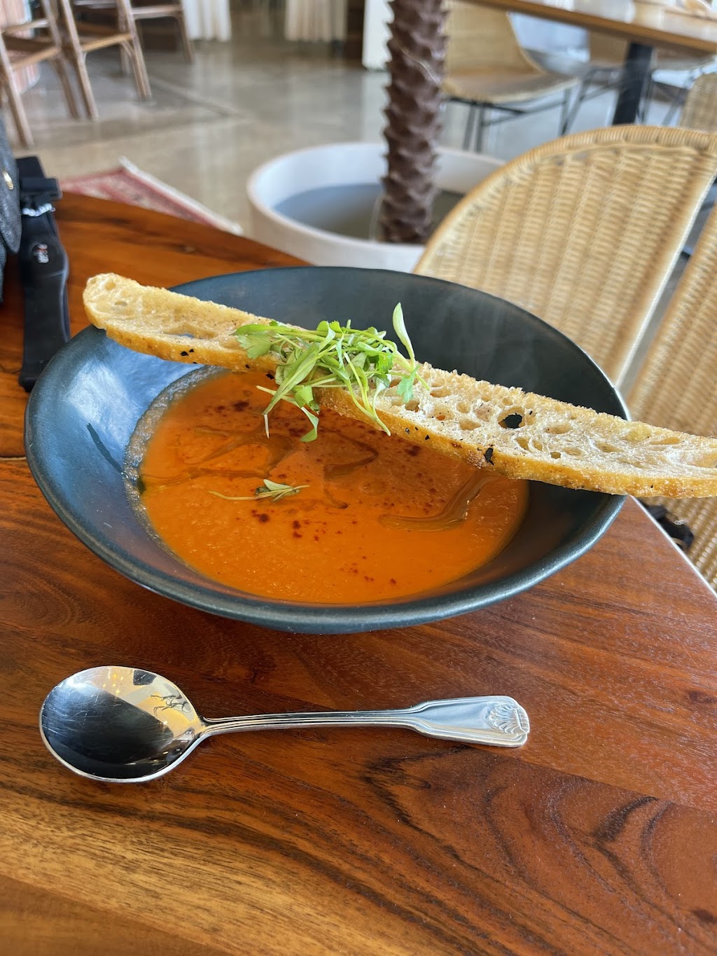 Elizabeths at the Art Museum | restaurant | 1902 N Shoreline Blvd, Corpus Christi, TX 78401, USA | 3618828785 OR +1 361-882-8785