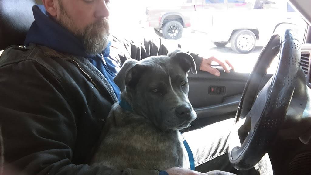 Lot-A-Burger | restaurant | 2807 Charles Page Blvd, Tulsa, OK 74127, USA | 9185833496 OR +1 918-583-3496