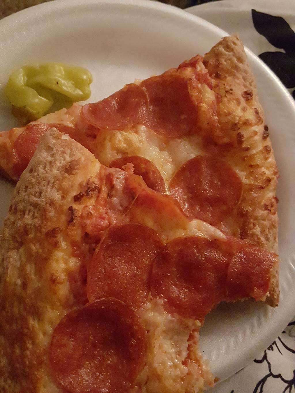 Papa Johns Pizza | restaurant | 9340 N Florida Ave, Tampa, FL 33612, USA | 8139157272 OR +1 813-915-7272