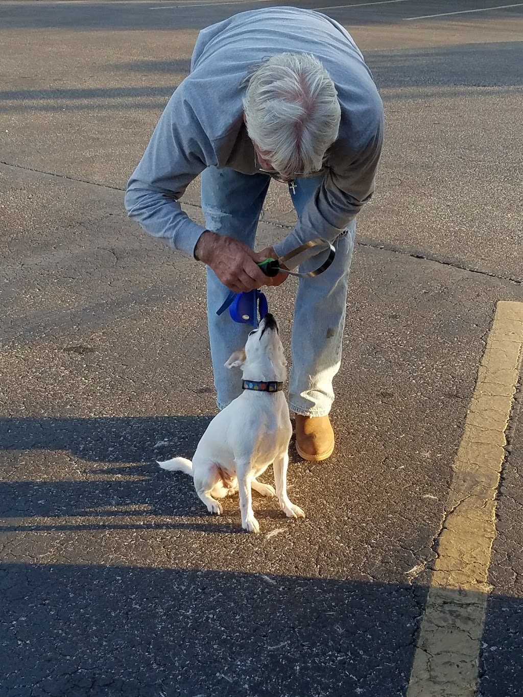 Hot Dog Shoppe | restaurant | 1308 N Ferdon Blvd, Crestview, FL 32536, USA | 8506823649 OR +1 850-682-3649