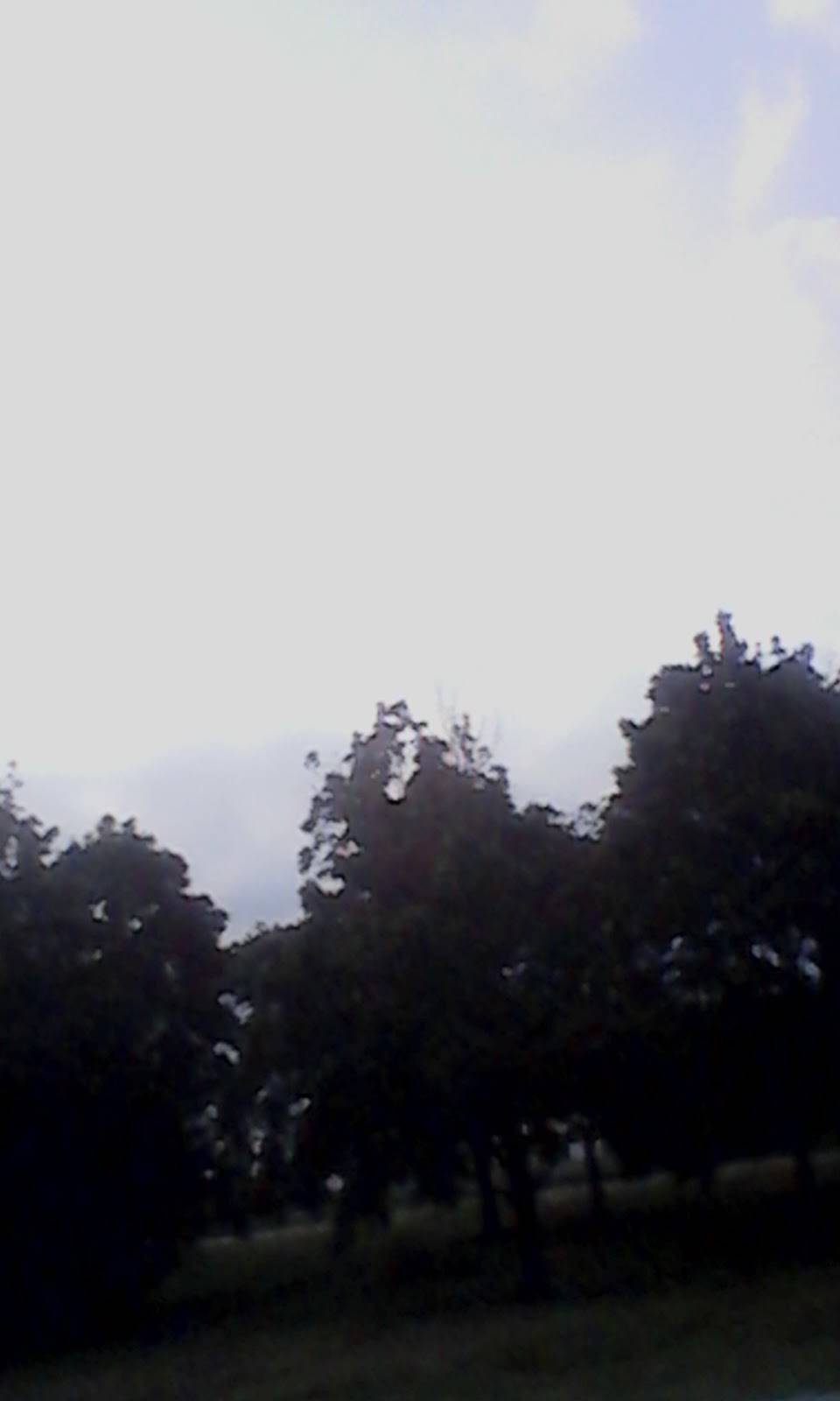 Joanns Kitchen | restaurant | 3372 US-378, Conway, SC 29527, USA | 8433975858 OR +1 843-397-5858