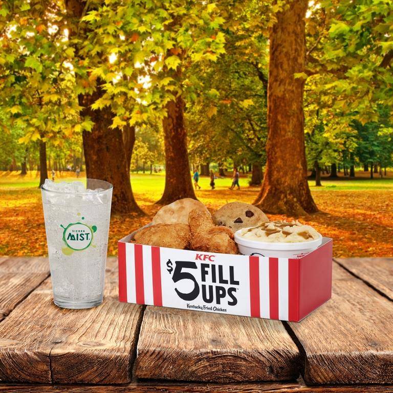 KFC | restaurant | 334 W Army Trail Rd, Bloomingdale, IL 60108, USA | 6303078924 OR +1 630-307-8924