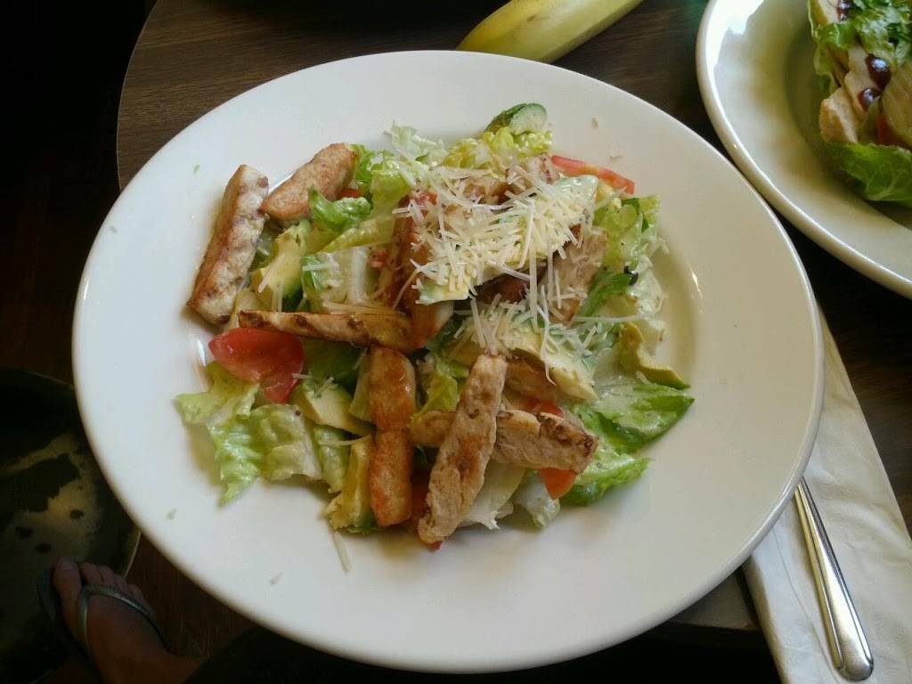 Oasis Cafe | cafe | 901 Divisadero St, San Francisco, CA 94115, USA | 4154744900 OR +1 415-474-4900