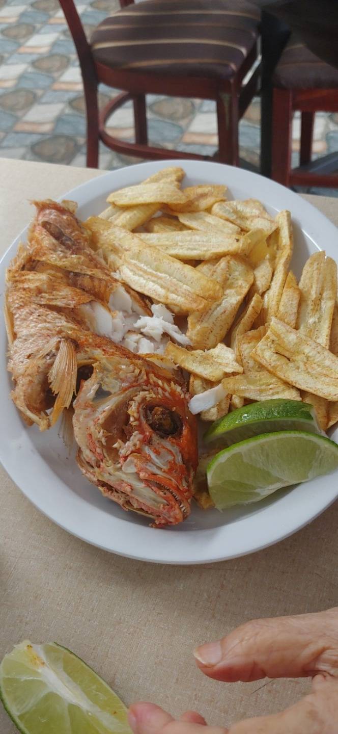 El Rey del Sur | restaurant | 115 Bowers St, Jersey City, NJ 07307, USA | 2017908303 OR +1 201-790-8303