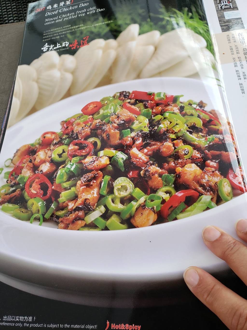 Taste of Chengdu 成都味道 | restaurant | 4856 New Broad St, Orlando, FL 32814, USA | 4072864850 OR +1 407-286-4850