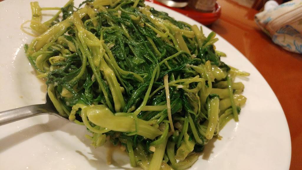 China Yuan | restaurant | 8502 N Armenia Ave #1a, Tampa, FL 33604, USA | 8139367388 OR +1 813-936-7388