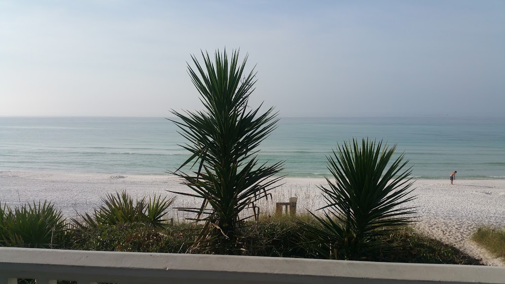 Pickles Burger and Shake | restaurant | 2236 E County Hwy 30A #34, Santa Rosa Beach, FL 32459, USA | 8502315686 OR +1 850-231-5686