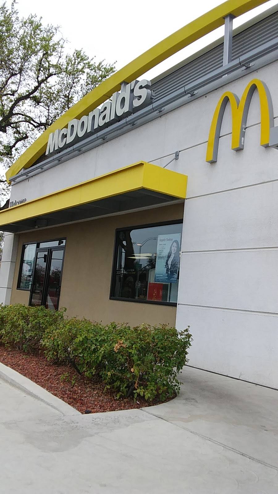 McDonalds | cafe | 3636 W Mineral King Ave, Visalia, CA 93277, USA | 5597321182 OR +1 559-732-1182