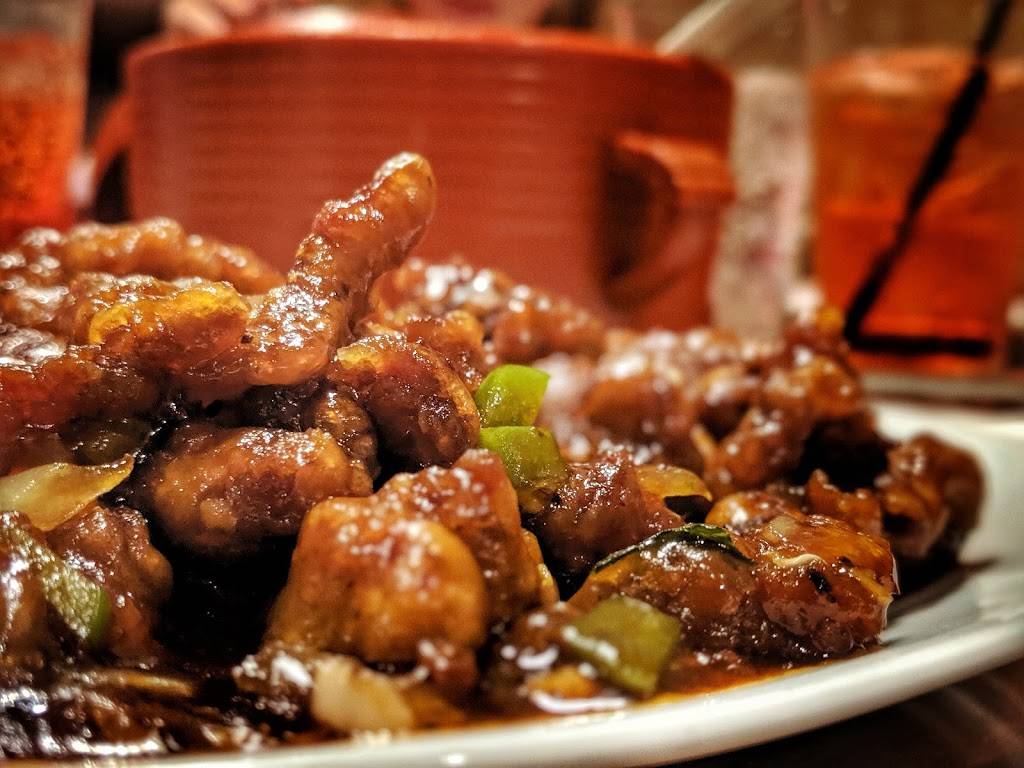 Yummi House Chinese Cuisine | restaurant | 1404 Eubank Blvd NE, Albuquerque, NM 87112, USA | 5052718700 OR +1 505-271-8700