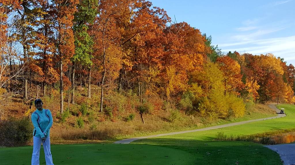 Moose Ridge Golf Course & Grille | restaurant | 11801 Doane Rd, South Lyon, MI 48178, USA | 2484469030 OR +1 248-446-9030