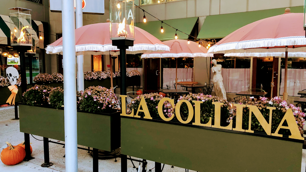 La Collina Ristorante Italiano | restaurant | 6830 N Rochester Rd, Rochester Hills, MI 48306, USA | 2487594099 OR +1 248-759-4099