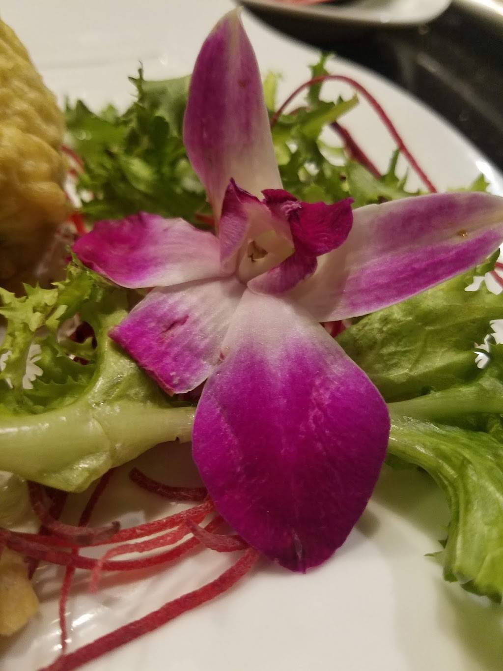 Wasabi Japanese Steakhouse | restaurant | 150 Montrose W Ave, Copley, OH 44321, USA | 3306665522 OR +1 330-666-5522