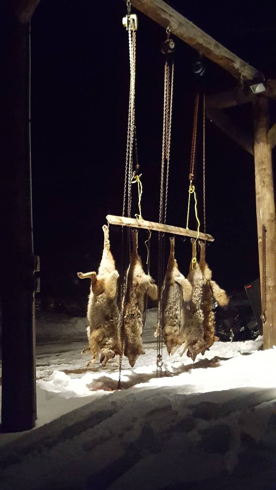 Rachels restaurant | restaurant | 4985 US-201, West Forks, ME 04985, USA | 2076632238 OR +1 207-663-2238