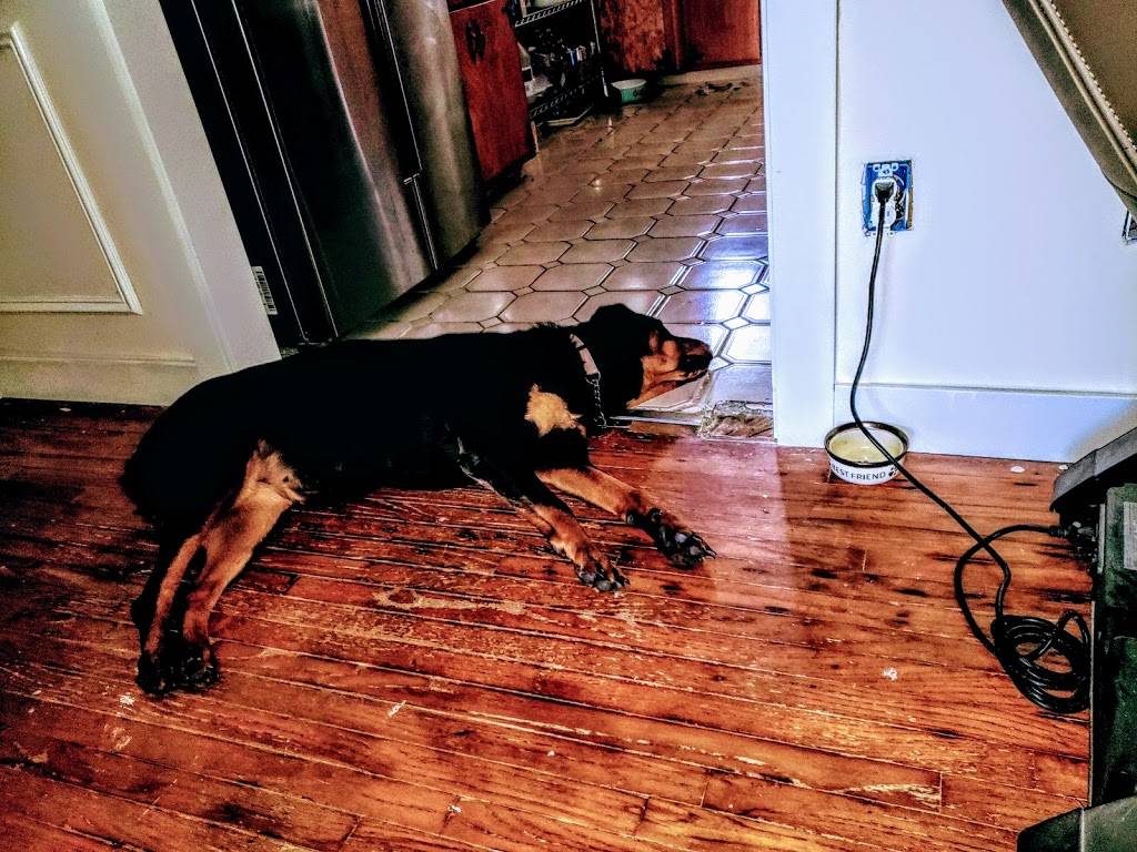 Robert coanepa | restaurant | 6438 Spear St, San Diego, CA 92120, USA | 6195826350 OR +1 619-582-6350