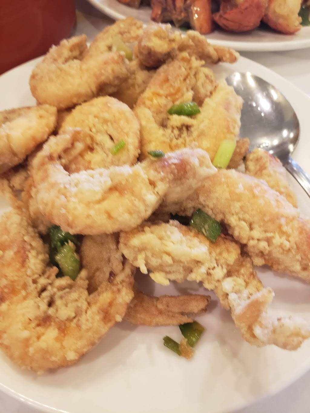 悦来 | restaurant | 8880-D Bellaire Blvd, Houston, TX 77036, USA | 7132716888 OR +1 713-271-6888