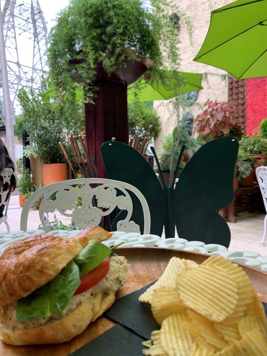 Artesano Cafe & Bistro | cafe | 109 Green Ln, Philadelphia, PA 19127, USA | 2673318457 OR +1 267-331-8457