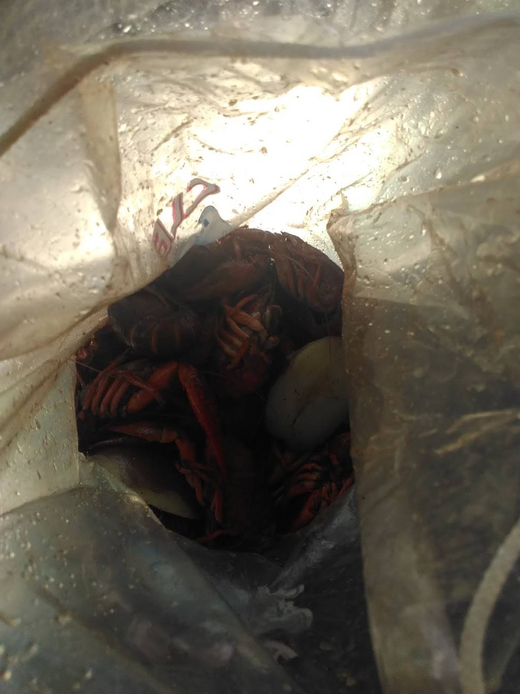 Booshays Bayou Cafe | restaurant | 1217 McCann Rd, Longview, TX 75601, USA | 9032302777 OR +1 903-230-2777