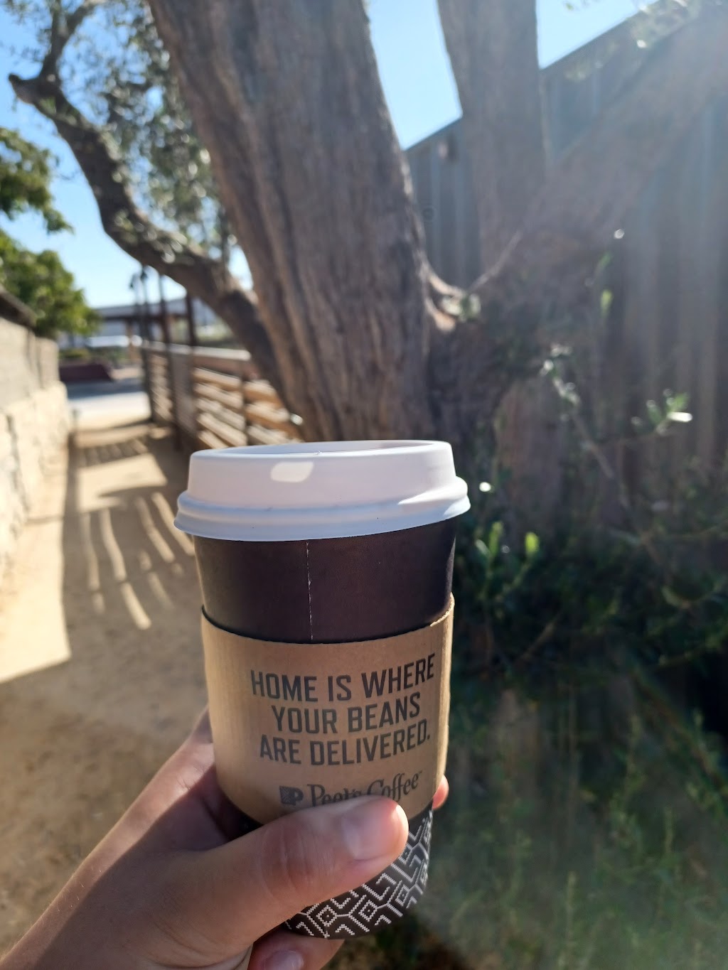 Peets Coffee | cafe | 560 Munras Ave UNIT 10, Monterey, CA 93940, USA | 8316419029 OR +1 831-641-9029