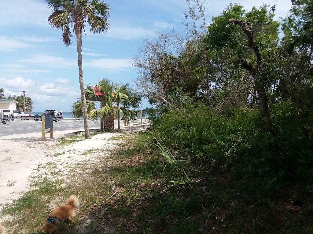 Wildcat Den | restaurant | 25673 FL-71, Altha, FL 32421, USA | 8507628495 OR +1 850-762-8495