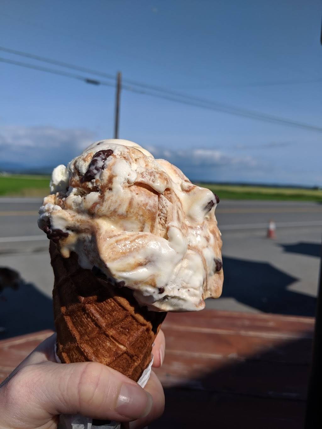 Snow Goose Produce Mt. Vernon | restaurant | 15302 Fir Island Rd, Mt Vernon, WA 98273, USA | 3604456908 OR +1 360-445-6908