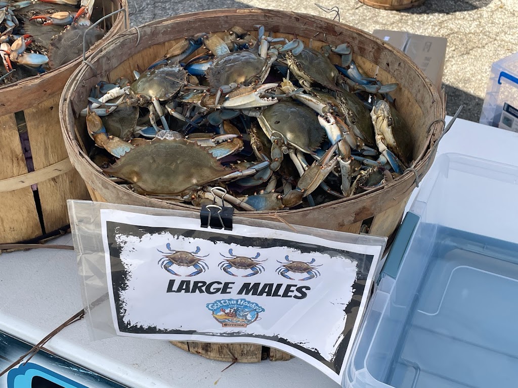 Gotcha Hooked Seafood | restaurant | Jefferson Davis highway and, Gordon Blvd, Woodbridge, VA 22191, USA | 5715999659 OR +1 571-599-9659