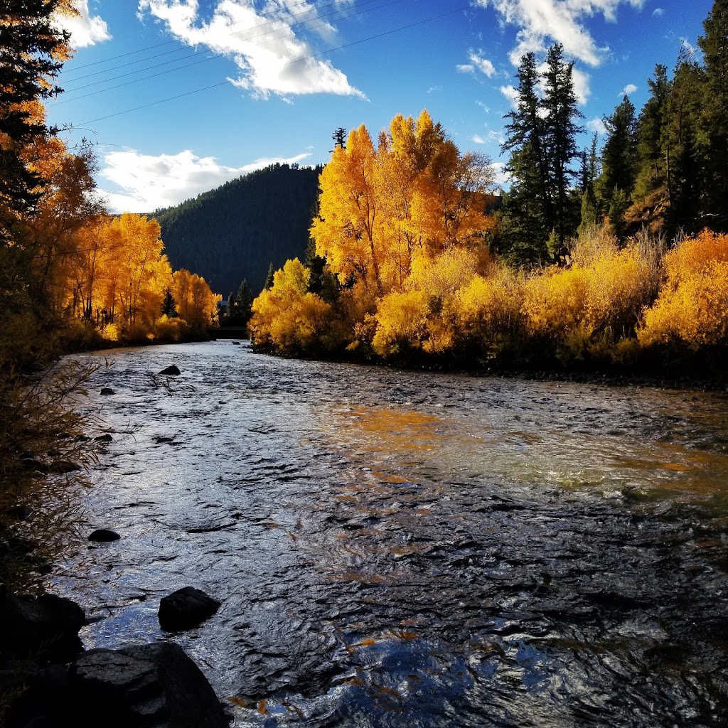 Almont Resort & Restaurant | restaurant | 10209 CO-135, Almont, CO 81210, USA | 9706414009 OR +1 970-641-4009