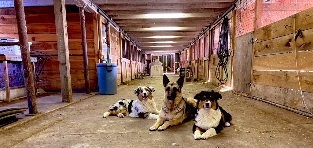 RambleBramble Farm | restaurant | 1340 Carse Rd, Huntington, VT 05462, USA | 8024342626 OR +1 802-434-2626