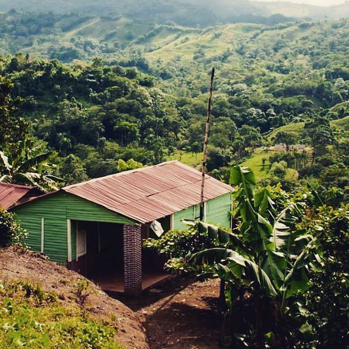 Caribbean809 restaurant | restaurant | 446 Main St, Woburn, MA 01801, USA | 7819353095 OR +1 781-935-3095