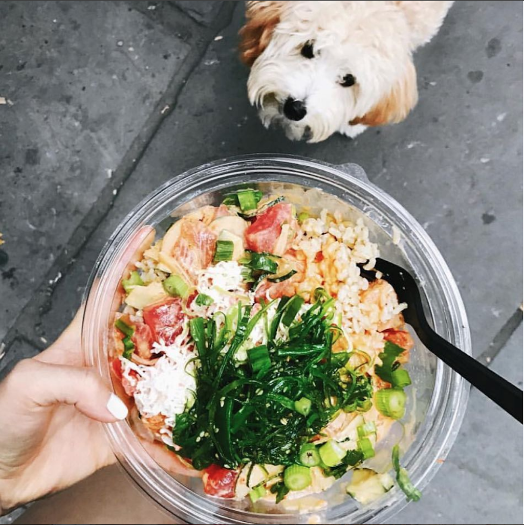 Poké on Pierce | restaurant | 3251 Pierce St, San Francisco, CA 94123, USA | 4154005350 OR +1 415-400-5350