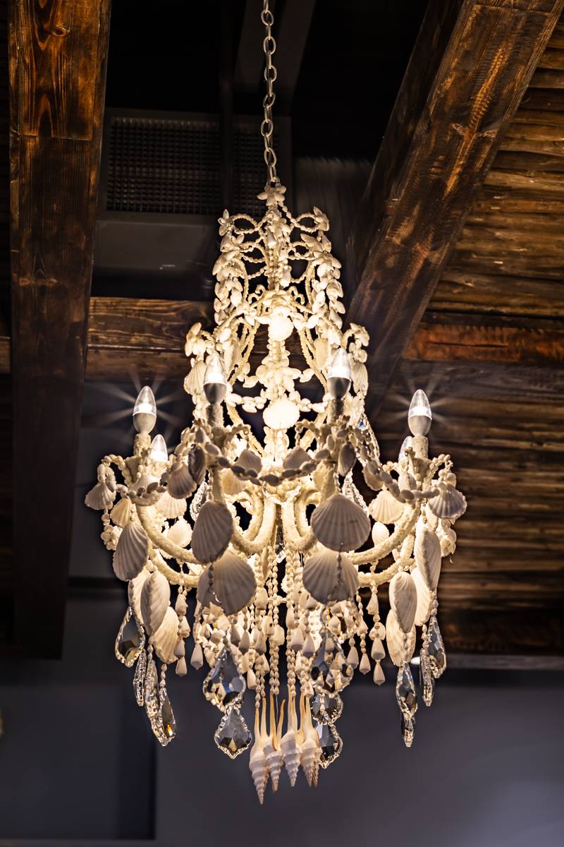 Beachwood Seafood Kitchen & Bar | restaurant | 4022 Tampa Rd, Oldsmar, FL 34677, USA | 8135378080 OR +1 813-537-8080